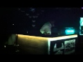 DJ Vasu at Ultra Muzik Movement Part 1