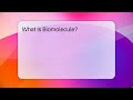 what is biomolecule biology for everyone