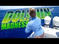OFFSHORE Fishing For DOLPHIN!