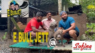 E BULL JET @ Sofine Kennels