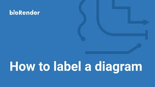 How to label a diagram