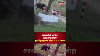 #Elephant | சாலையில் சென்ற வாகனங்களை ஆக்ரோஷமாக விரட்டிய காட்டு யானை | #Elephantattack | #Viralshorts