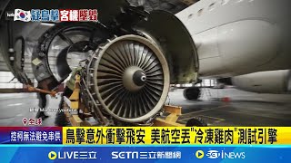 飛安鳥擊事故多 美航空丟\