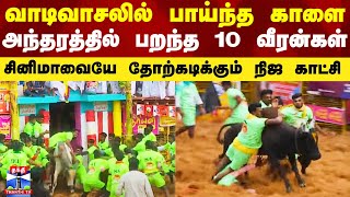 வாடிவாசலில் பாய்ந்த காளை..  அந்தரத்தில் பறந்த 10 வீரன்கள் - சினிமாவையே தோற்கடிக்கும் நிஜ காட்சி