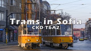 Sofia Trams - Tatra (CKD) T6A2