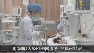 【新唐人/NTD】湖南增4人染H7N9禽流感 今年已24宗｜中國一分鐘