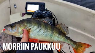 Venepilkillä | Kaikuluotain apuna | Garmin striker 5