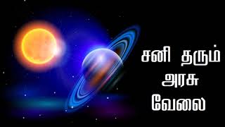 சனி தரும் அரசு வேலை | Government job given by Saturn | Astro Answers | Astro Mani