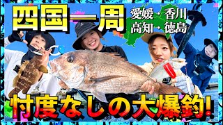 第234話【四国一周釣りの旅】こんなに釣れていいんですか!?香川・徳島・高知・愛媛を釣り巡ったら忖度なしに大爆釣!の巻