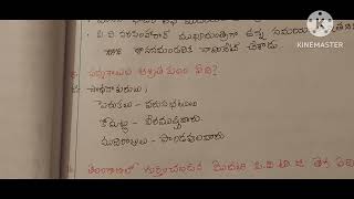 తెలంగాణ సంస్కృతి |తెలంగాణ కల్చర్ |తెలంగాణ సమాజం