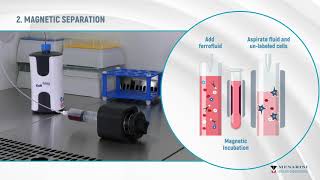 CellMag Video Tutorial - Enrichment and Staining of Circulating Tumor Cells in one easy protocol