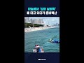 하늘에서 '상어 날벼락'…배 타고 있다가 혼비백산 #shorts