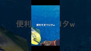 フックリリーサー便利すぎｨ‼︎2000円程で買える安心安全、詳細はコメント欄に