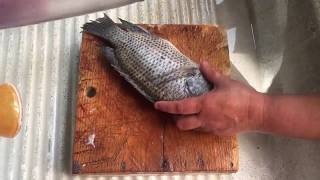 Como limpiar una mojarra en casa