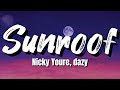 Nicky Youre and dazy - Sunroof (Lyrics)