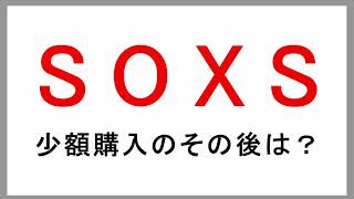 少額買ってみたSOXSのその後