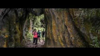 Waitomo Trail Run