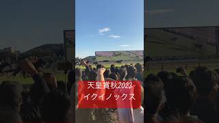 天皇賞秋　イクイノックス#shorts #競馬 #イクイノックス