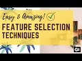 Simple Feature Selection Techniques | Easy to Implement! ✅