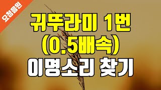 [요청음원] 귀뚜라미 소리 1번 (0.5배속) - 이명 완화 차폐음, 이명 마스킹 사운드