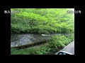 33.奥入瀬渓流を貸し切る！早朝の十和田湖で新緑ドライブ（『夏の北東北』十和田編 2019北東北⑤ ）