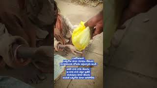 చస్తూ బ్రతికే మనుషులు #shortvideo #shorts #humanity #youtubeshorts #trending #love #viralvideo