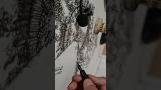 ASMR videos pen and ink drawing