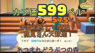 カブ価599ベル、575ベルの島を無償開放！ 往復OK！初見さん大歓迎！ 【あつまれどうぶつの森】【ライブ配信】