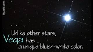 Interesting Facts About the Vega Star