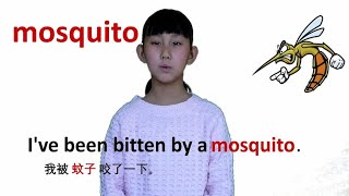 动物篇mosquito蚊子 牛津初高中小学少儿童英语单词和例句子 常荣