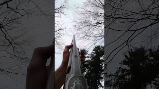 Gray Crow pest control Hunt using a Shotgun!