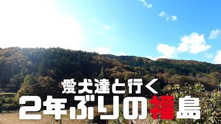 【犬連れ福島里帰り旅】愛犬達と福島里帰り旅①　お墓参り　旅するペットショップの売れ残りと元保護犬【ダックス旅行】