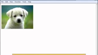JavaScript Chapter 5 - HandsOn with Events OnClick