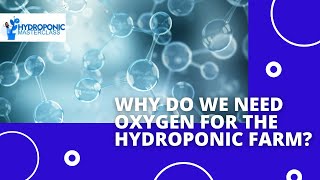 Why do we need oxygen for the hydroponic farm?  Hydroponic Masterclass | +91-9870424425