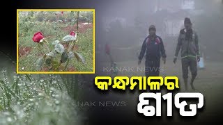 Kandhamal Shivers in Cold, People Enjoys The Beauty Of Winter