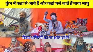 Prayagraj Maha Kumbh 2025 : कुंभ मेले में संन्यासी साधु अद्भुत चमत्कारी बाबा | रहस्यमयी शक्तियां