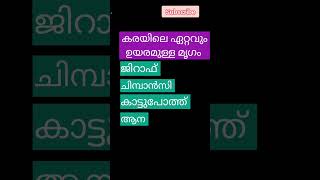 കരയിലെ ഏറ്റവും ഉയരമുള്ള മൃഗം ഏതാണ്? #quiz #viralvideo