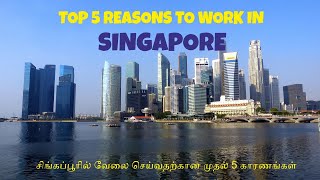 Why Should We Work in Singapore | Singapore Labour Work | Singapore PR | Singapore Jobs and Salaries