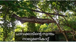 Nalumanikattu Chavakkad Part1 |  Rainforest | Hidden Tourist Destination | BY BARZA'S WORLD🌏