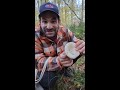 we went mushroom hunting for the first time it s late in the year but we found some