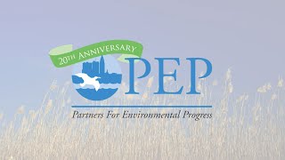 PEP 2020 Environmental Stewardship Awards