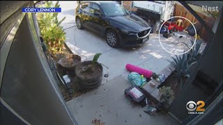 Winnetka Homeowner Furious After Police Shot Dog On His Property