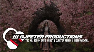 David Yang  - Tso Koj Tseg | DJPETER // INSTRUMENTAL // REMIX  | 🎵