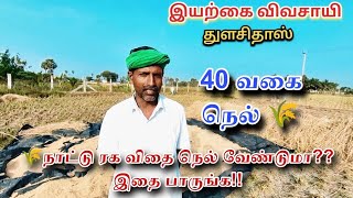 இயற்கை முறையில் 40 வகை நெல் || தரமான நாட்டு ரக நெல் விதை கிடைக்கும் @kobavan_vlogs