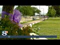 La Crosse Elder Abuse Walk aims to ‘bring problem out of shadows’