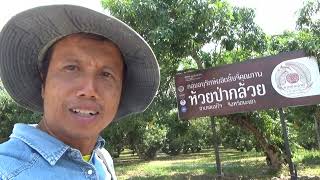 G.Folk สำรวจสวนลิ้นจี่ อ.แม่ใจ จ.พะเยา (5/7) 29/03/67