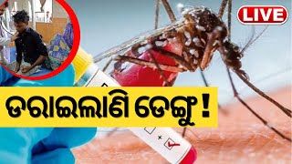 Live: ଡରାଇଲାଣି ଡେଙ୍ଗୁ ! ରାଜଧାନୀରେ Dengue ଆତଙ୍କ | Dengue Tension In Bhubaneswar | Odia News