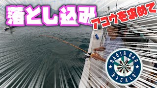 【落とし込み】おいしいアコウが釣りたいんです。釣果：ハネ・ガシラ・ヒラメ・マダイ・アジ・ツバス【瀬戸内海】