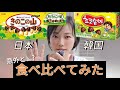 【食べ比べ】きのこの山とパクリの韓国チョコソンイを徹底食べ比べてみたら意外すぎた！#外国人日本食 #外国人ユーチューバー