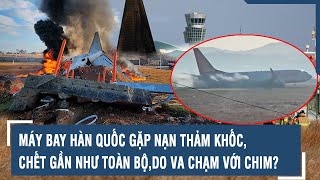 Máy bay Hàn Quốc gặp nạn thảm khốc, chết gần như toàn bộ, do va chạm với chim? l VTs